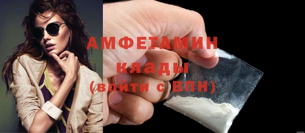 шишки Горно-Алтайск