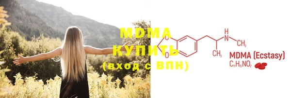 шишки Горно-Алтайск