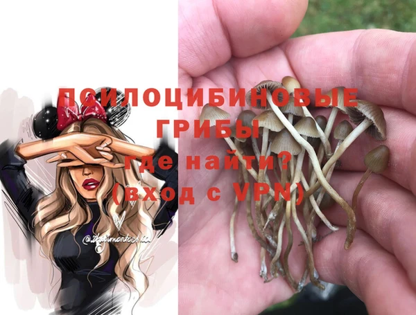 шишки Горно-Алтайск