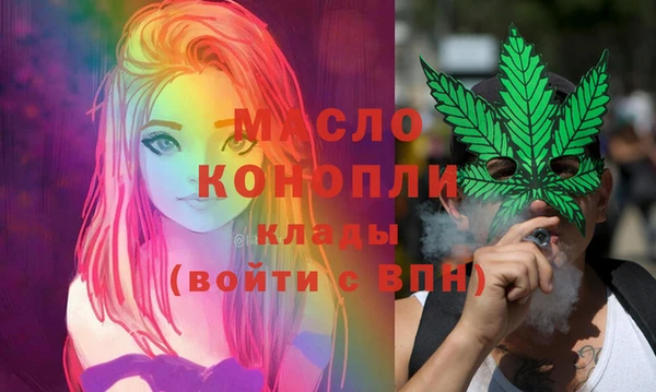 шишки Горно-Алтайск