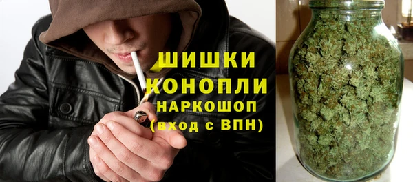 шишки Горно-Алтайск