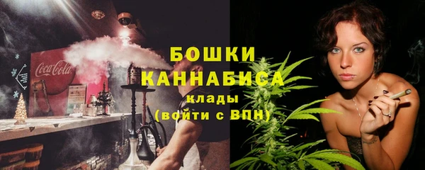 шишки Горно-Алтайск