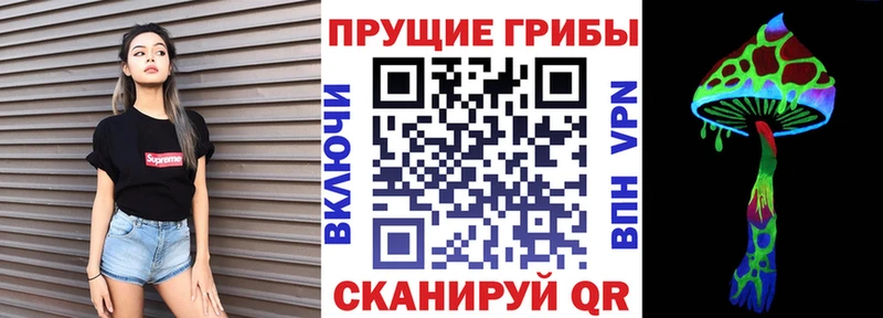 сколько стоит  Жиздра  Псилоцибиновые грибы мухоморы 