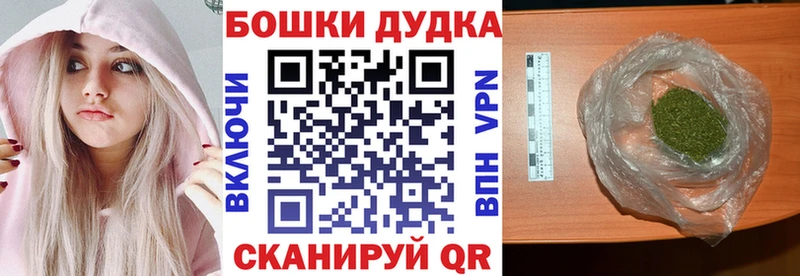где купить наркотик  Жиздра  Бошки Шишки Amnesia 